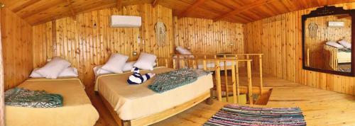a room with two beds in a log cabin at Panorama Lodge Nuweiba in Nuweiba