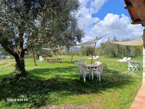 a table and chairs under a tree in a field at Agriturismo Bio Pian Dei Casali in Saturnia