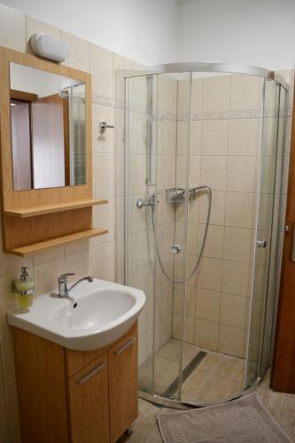 a bathroom with a shower with a sink and a mirror at Penzión Carlos in Podlužany