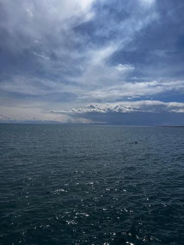 a large body of water under a cloudy sky at Дом у озера in Chok-Tal
