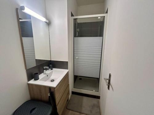 une salle de bain avec un lavabo et une douche avec un miroir dans l'établissement Charmant studio mezzanine au cœur de Nice, à Nice