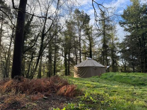 a tent in a field in the woods at Sweet Hill Eco Fort in Exeter