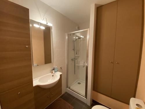 une salle de bain avec un lavabo, une douche et des toilettes dans l'établissement Studio face mer a la Chaume, à Les Sables-dʼOlonne