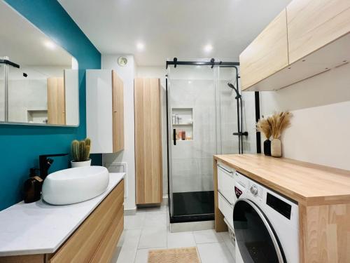 La salle de bains est pourvue d'un lave-linge et d'une douche. dans l'établissement Bel appartement proche de Paris, à Alfortville
