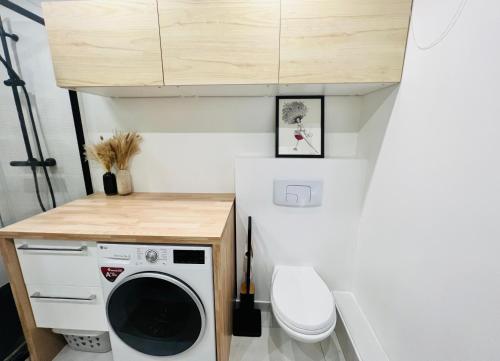 - une petite cuisine avec lave-linge dans une petite maison dans l'établissement Bel appartement proche de Paris, à Alfortville