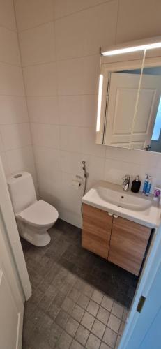 a bathroom with a toilet and a sink at Villa Koivunoksa in Kerava