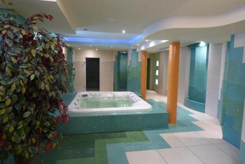 a large bathroom with a hot tub in a building at GLORIETTA Apartments & SPA in Iwonicz-Zdrój