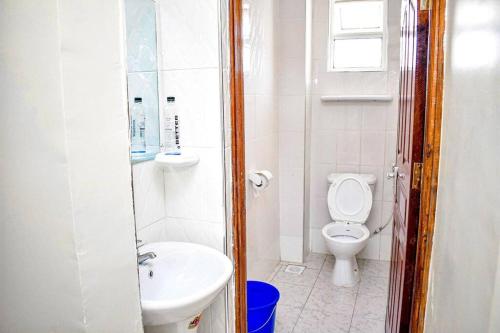 a small bathroom with a toilet and a sink at Mogul's Palace (3 beds) Thika town in Thika