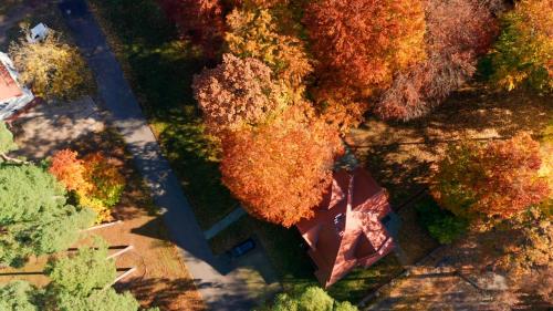 an overhead view of a house with autumn trees at Parkresidenz Lychen, Ferienwohnung 4 in Lychen