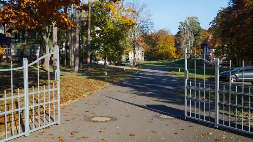 a white gate in a park with leaves on the ground at Parkresidenz Lychen Ferienwohnung 2 in Lychen