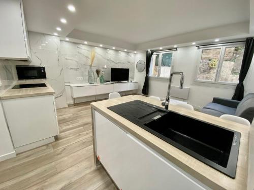 - une cuisine équipée d'un évier et d'un four micro-ondes dans l'établissement Bel appartement - Nice centre, à Nice
