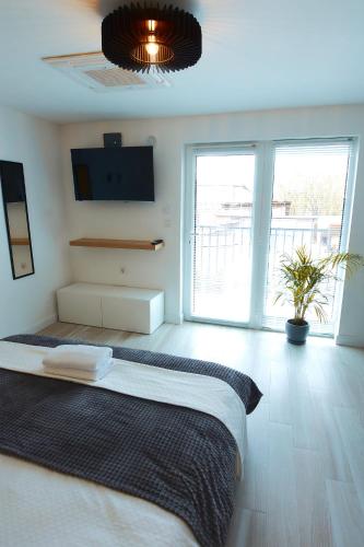 a bedroom with a large bed and a large window at PRIMA APARTMENTS in Satu Mare