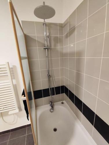 une salle de bain avec baignoire et douche dans l'établissement T2 avec jardin Proche AÉROPORT, AIRBUS, MEET (parc des expositions), à Daux