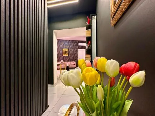 Elegance Rooms Spaccanapoli photo 1