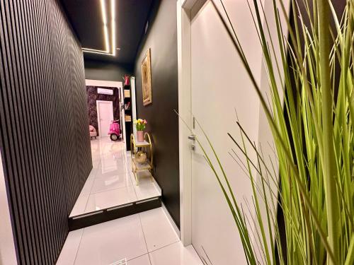 Elegance Rooms Spaccanapoli photo 115