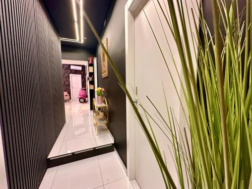 Elegance Rooms Spaccanapoli photo 71