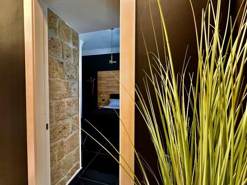 Elegance Rooms Spaccanapoli photo 72