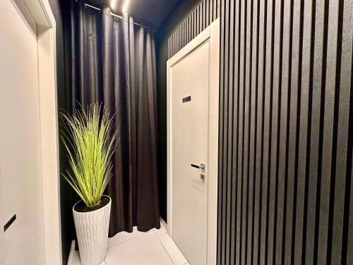 Elegance Rooms Spaccanapoli photo 118