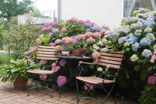 eine Gruppe Blumen auf einem Tisch mit zwei Stühlen in der Unterkunft Neckar-Koje in Neckarsulm