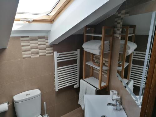 a bathroom with a toilet and a sink and a mirror at Casa rural SOROA landetxea in Arantza