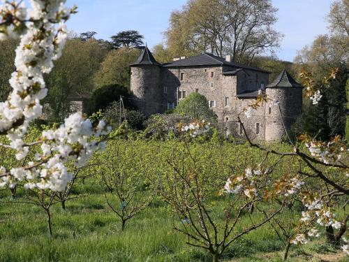 Domaine La Bonne Etoile في Beausemblant: قلعة قديمة في حقل مع الزهور البيضاء