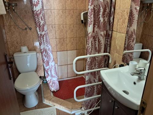 a bathroom with a toilet and a sink at 3min walk to Vilnius business center in Vilnius
