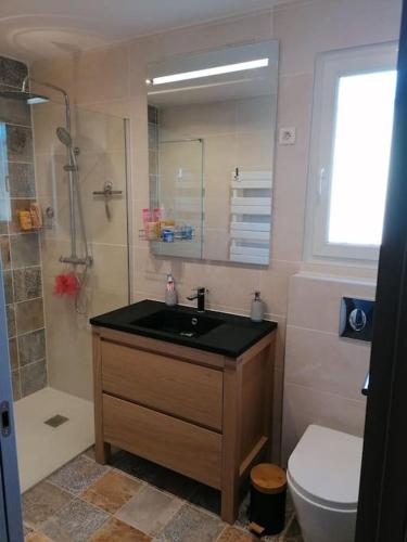 une salle de bain avec un lavabo, des toilettes et un miroir dans l'établissement Maison à la campagne, à Solliès-Toucas