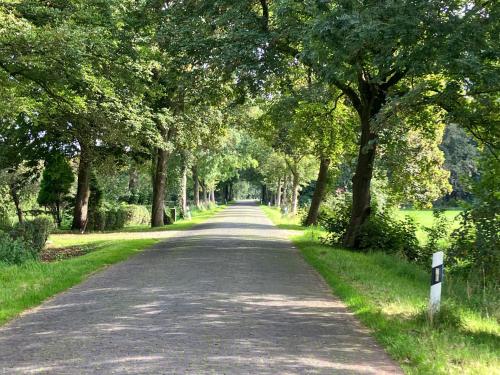 uma estrada com árvores em cada lado em Ferienwohnung Bruns em Ihlow