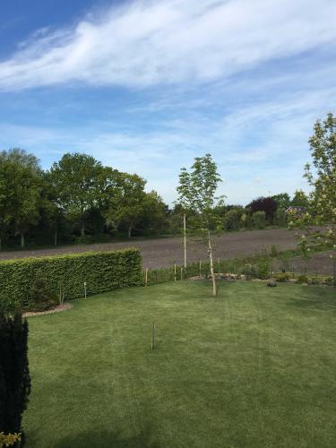 a green yard with a tree in the middle of it at Ferienwohnung Haus Bikker in Ihlow