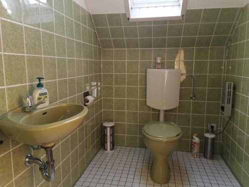 a bathroom with a green toilet and a sink at Ferienwohnung Ferienhaus Moorblick in Ihlow