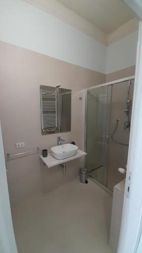 y baño blanco con lavabo y ducha. en B&B Villa Sofora en Reggio Emilia