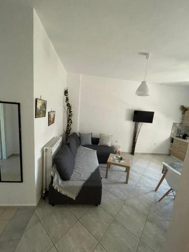 a living room with a couch and a table at Elenas Apartments in Plataria
