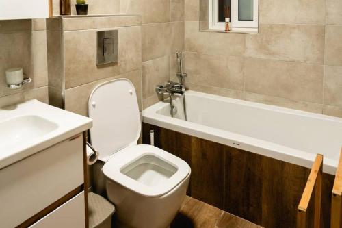a bathroom with a toilet and a sink and a bath tub at Luxurious & Stylish Penthouse with Private Pool in Msida
