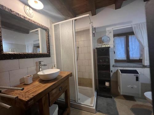 a bathroom with a sink and a mirror and a shower at Ca-Jo Bed and Breakfast in Garessio