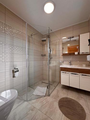 a bathroom with a shower and a toilet and a sink at Guesthouse Green Valley in Plitvička Jezera