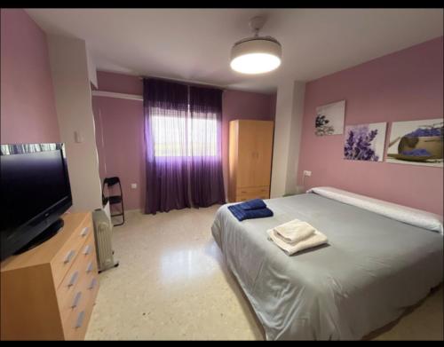 a bedroom with a large bed and a flat screen tv at La oliva in Cáceres