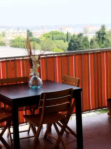 Bel appartement Juan Les Pins 3 chambres 9 mn de la plage