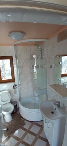 a bathroom with a shower and a toilet and a sink at На Пагорбі in Mykulychyn
