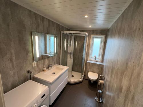 ein Bad mit einem Waschbecken, einer Dusche und einem WC in der Unterkunft Moderne feriehus i Bud in Bud