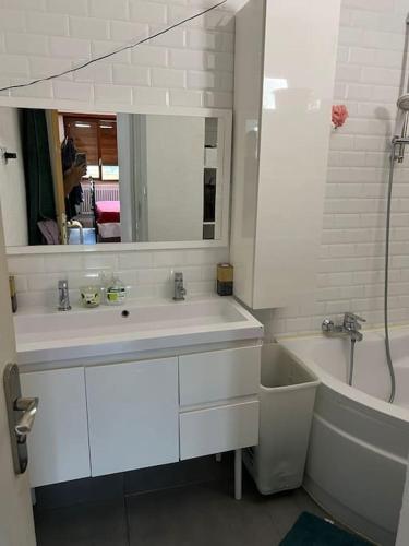 une salle de bain avec un lavabo, une baignoire et un miroir dans l'établissement Chambre double privée, Appartement partagé, à Annemasse