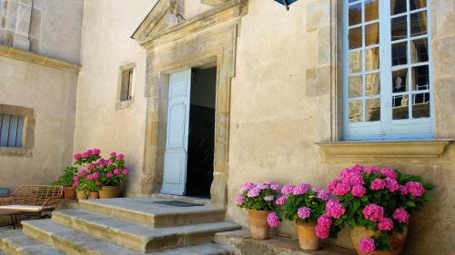 a building with flowers in front of a door at Château de Puichéric in Puicheric