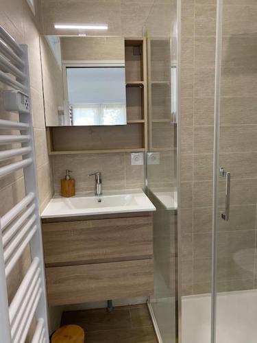 une petite salle de bain avec un lavabo et une douche dans l'établissement Studio Les Oliviers, à Noisy-le-Grand