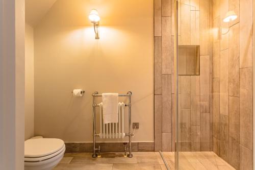 a bathroom with a toilet and a shower at Holly Lodge Boutique B&B in Thursford