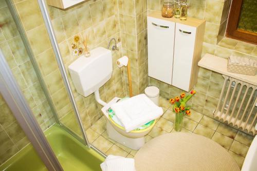 a small bathroom with a toilet and a sink at Ferienwohnung in Schönwald Schwarzwald in Schönwald