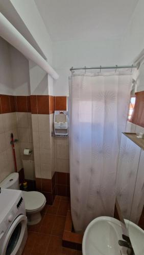 y baño con aseo y cortina de ducha. en Kofinaki apartment 1, en Tycherón