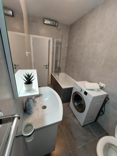 ein Badezimmer mit einem Waschbecken und einer Waschmaschine. in der Unterkunft Dalmatinska apartment in Belgrad