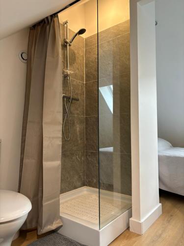 um chuveiro com uma porta de vidro na casa de banho em Charmant Appt Duplex - 8 Personnes em Saint-Nectaire