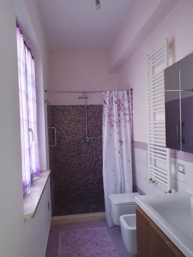 ein Bad mit einer Dusche, einem WC und einem Waschbecken in der Unterkunft CASA PRIMO in Villa Rosa