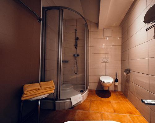 a bathroom with a shower and a toilet at Pension Baumgartner-Berghof in Obernberg am Inn