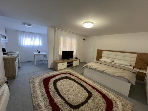 1 dormitorio con 1 cama grande y TV en Piccola Casa City Center Sarajevo, en Sarajevo